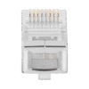 Bote con 100 Piezas de Plug Modular RJ45 Cat6 blindado, chapado de oro a 30 micras para durabilidad extrema SIN PIN DE TIERRA